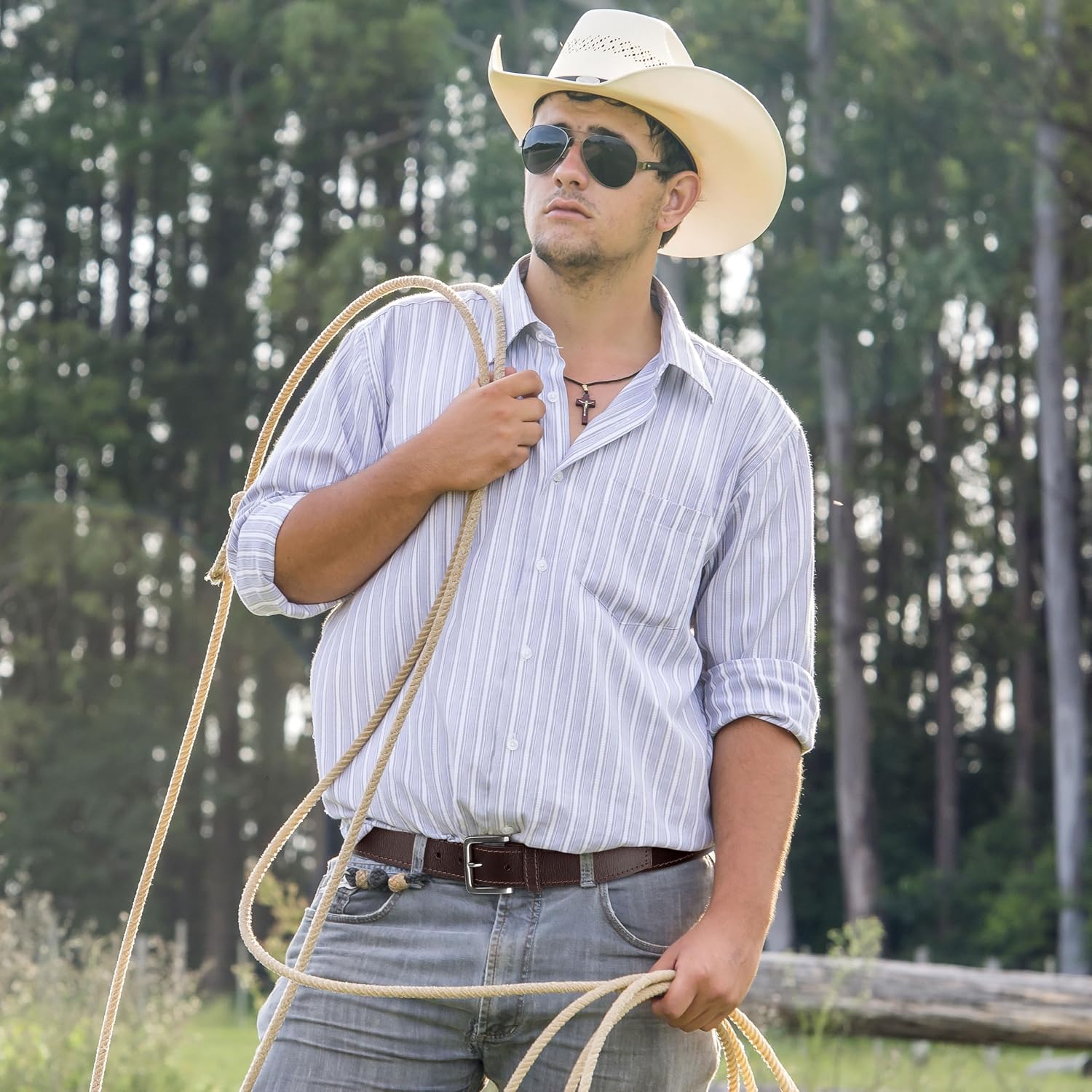 Wrangler - Image 7